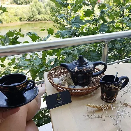 Vh Premier As & Meeting Center 4*