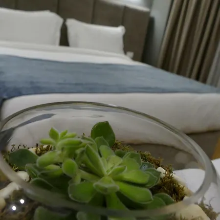 Vh Premier As & Meeting Center 4*