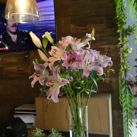 Hotel Vh Premier As & Meeting Center Tirana