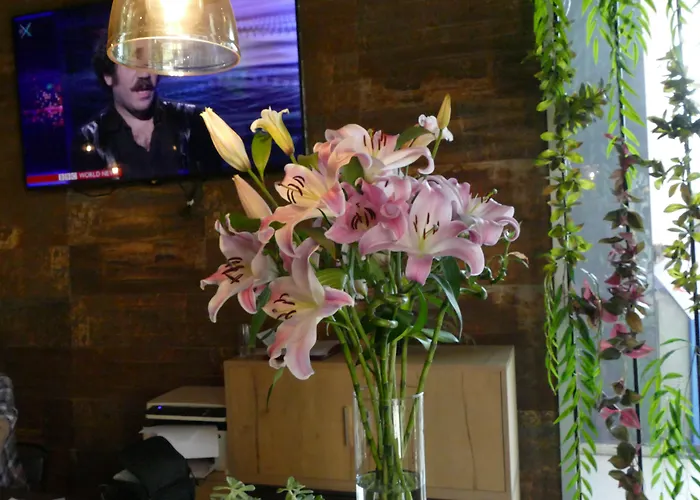 酒店 Vh Premier As & Meeting Center 地拉那